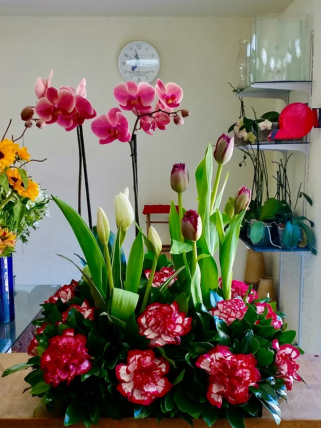 SKU-462 Phalaenopsis y tulipanes – Galería Floral Querétaro